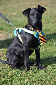 43273655_1080858655417213_8649186320138108928_n