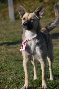 43296959_1080862528750159_551717802193453056_n