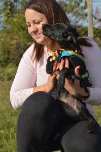 43447174_1080858838750528_1376115802335346688_n