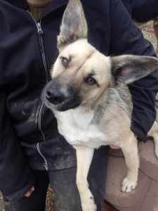 44974716_1094106587425753_2026346337389248512_n