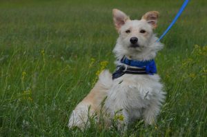 60107982_1223359927833751_8016017615682011136_n