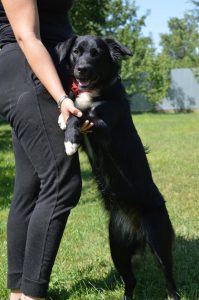 68512472_1293990034104073_5729686574174568448_n