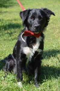 68949185_1293990447437365_4343817828822941696_n