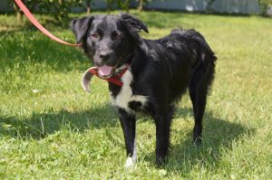 68962150_1293990044104072_7466210292251230208_o