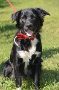 69247934_1293990164104060_1153094518774431744_n