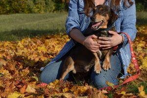 122914552_1682644735238599_6521424007349617739_o
