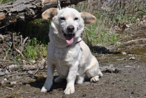 278845319_2087361864766882_450908960418448020_n