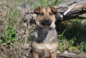 280525259_2107033622799706_2471918636139774865_n