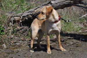 280602063_2107033076133094_4764835451241852739_n