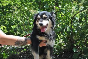 286198204_2130210427148692_3824078111293923130_n