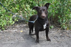 293287609_2157580711078330_3793329441914438401_n