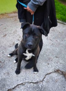 494085267_1015466627354088_3617992116459356033_n