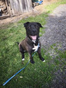 494477197_1015466677354083_3873234120739347911_n