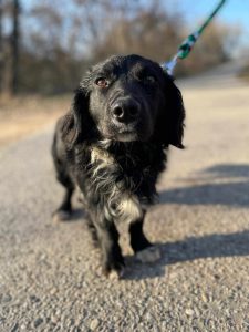 494571857_629764866759300_2811305925981537359_n