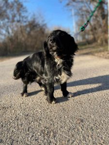 494574000_694658669775541_3486897490317179818_n