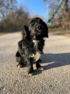 494576049_2098350553994254_74540285447511779_n