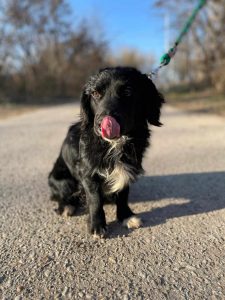 494576288_1102751765203449_4707456069936386804_n