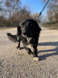 494576943_592279756577191_2273942601534184677_n