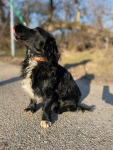 494579742_1089856876303215_3911262724356445069_n