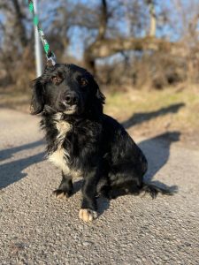 494814770_1876889326405399_4991714825571104553_n