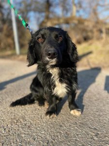 494816950_1087363663222294_6775646418458122643_n