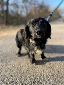 494817018_690828646648907_8524611324532623766_n