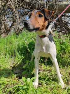 494976978_1016171503950267_7116277279640625655_n