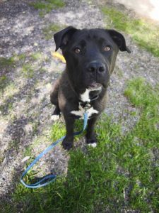 495389876_1015466790687405_450784419892009702_n