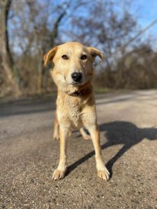 495391053_1016174233949994_4279815064359350437_n