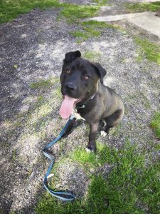 495578960_1015466877354063_3999769411448306031_n