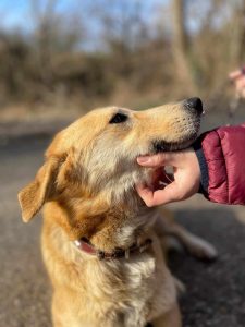 495579647_1016174473949970_2589411274184137851_n