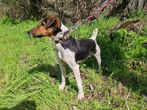 495580288_1016171383950279_2792667597465650712_n