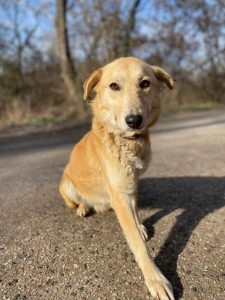 495587998_1016174457283305_2118170092004709742_n