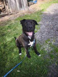 495605487_1015466840687400_581106353975345224_n