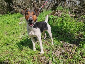 495670857_1016171373950280_2028335293358954278_n