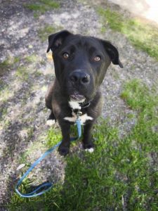 496016974_1015466720687412_8129059041323926580_n