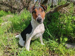 496112038_1016171357283615_6405137449156909188_n