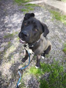 496129117_1015466817354069_4780270090842238363_n