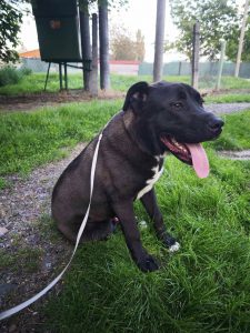 496327804_1015466960687388_1549285177970319150_n