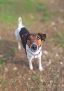 496641052_1016171303950287_5058979861413271462_n