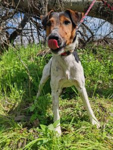 496843103_1016171527283598_1221406342280520741_n