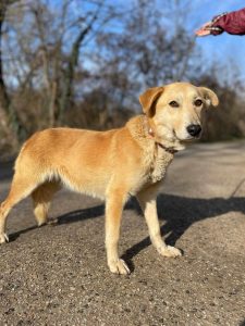 496843185_1016174250616659_5216545396321762080_n