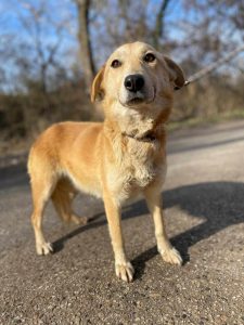 496843613_1016174437283307_8878186614845014006_n