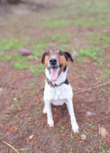 497715764_1016171113950306_4794269328395092284_n