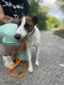 546436686_1108959661338117_903083083431801381_n