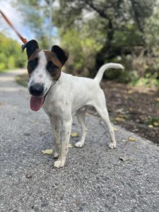 547270370_1108959521338131_2262159353383915634_n