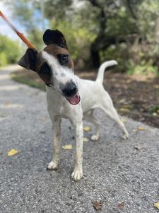 547288166_1108959354671481_1250536866827196306_n