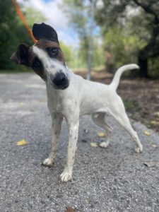 547677432_1108959501338133_5078433212147753564_n