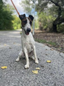 548019290_1108959604671456_6583313802873031308_n