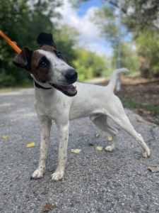 548189330_1108959451338138_4186887822201400213_n